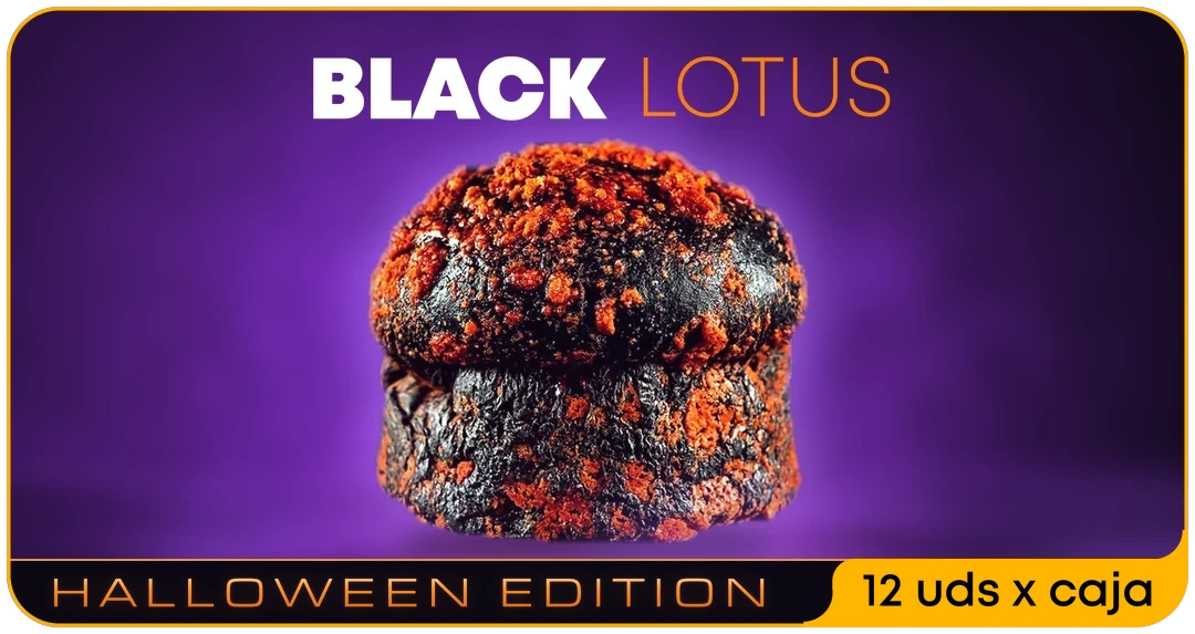 HIGH BLACK LOTUS: box of 12